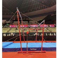 Taishan Rec Training Bars TQ2010