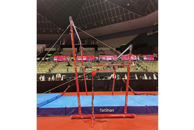 Taishan Rec Training Bars TQ2010 Taishan Rec Training Bars TQ2010